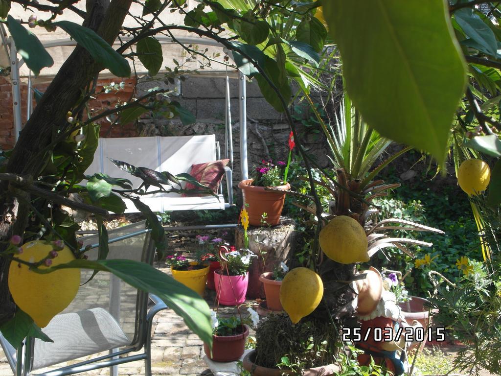 Beach House Apartment Side Rom bilde